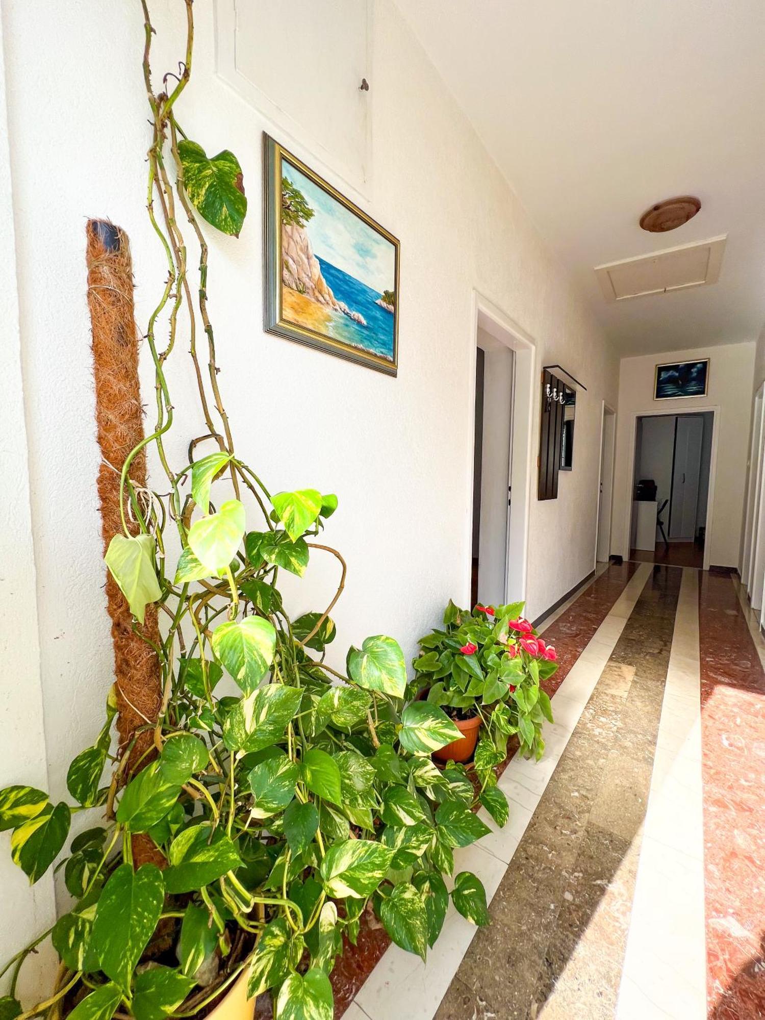 Apartment Bava 杜布罗夫尼克 外观 照片